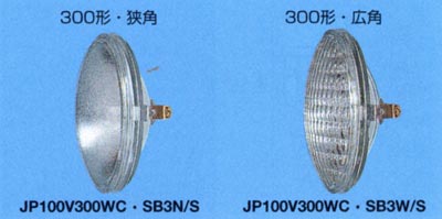 X^WIpV[h@JP100V300W